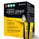 슈퍼라인