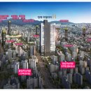 아델리아 이미지