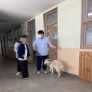 효정중학교 이미지