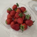 겨리농장 이미지