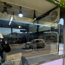 멋내는 애견 이미지