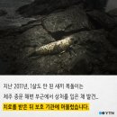 이상한나라의수족관