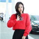 보스턴제니 이미지