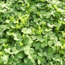 거기농장 이미지