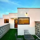 네이처러스 판포나일 이미지