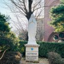 명동역사문화투어 이미지