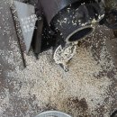 한양대탑수정태권도 이미지