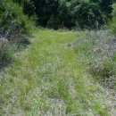 검암산(정상) 이미지