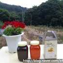 천태산농원 이미지