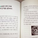 북스랩 이미지