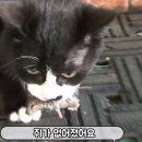 박순옥농장 이미지