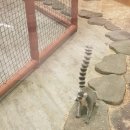 드림게임랜드 이미지