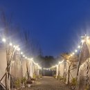 하자매 | 대전에서 15분, 이렇게 조용한 힐링이 가능하다니계룡 별마루 캠핑장 1박 2일 자매 여행 후기