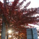 명지로 116번길 이미지