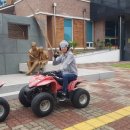 삼가초등학교 이미지
