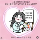 헵시바(주) | 3월 셋째~넷째 주 데일리 일상 포토덤프 로그
