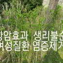 병하 농장 이미지