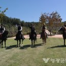 영광통닭 이미지