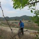 일죽 청미천 이미지