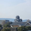 상은자판기 | 시내 반나절 코스 추천 I 구마모토성 뷰 포인트 ,애니메이트와 제일복권 , 갓성비 토리키조쿠 후기