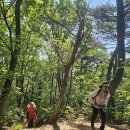 육월의 마골산 이미지