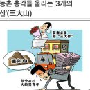 베트남국제결혼 "결혼 하고파요" 노총각 4000만명의 울분에 불안한 중국 이미지