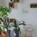 금강산밥뎜 이미지