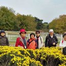 (금요답사결과)송파지역(올림픽공원,몽촌토성,석촌호수)답사 이미지