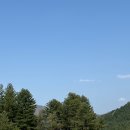 연화도감 이미지