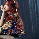 �� 342 이미지