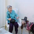 월리농장 이미지