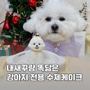 연두네놀이터 이미지
