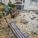 나무벤치 이미지