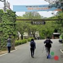 계족산 황톳길 Daum카페