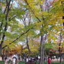 아름다운 퀸스