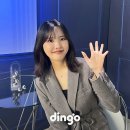 마이딩고 이미지