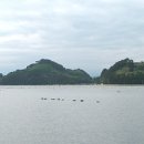 대곡 바다 이미지