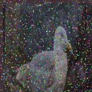 전주소년원부속의원 | 전주임플란트회사 선택을 좌우하는 품질기준