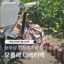 기저귀가방 고민 끝! 트라이크에도 걸기 좋은 더베러백 사용 후기