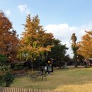 고양낙농체험장 이미지