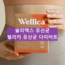 맥스 | 슬리맥스 유산균 내돈내산 후기 slimax wellica 웰리카 다이어트 효과