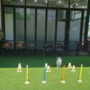 도그랑 나랑 이미지