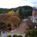 서대전농협주유소 이미지