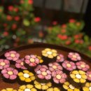 아트김밥 이미지