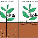 퇴출되는 친환경 유기질 비료 명단 [95개 업체 제품] 이미지