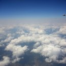 무네미로448번길 이미지