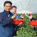 김용 농장 이미지