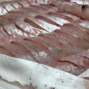 동해활어촌회포차 이미지