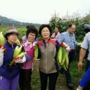 성산2리 이미지