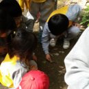 동내초등학교 이미지